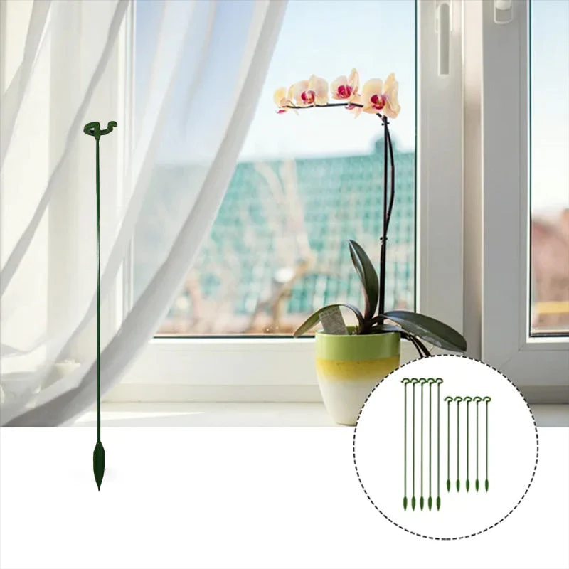 BowLift | BloomBuddy Thriving Plant Growth