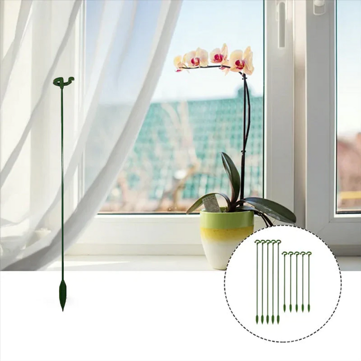 BowLift | BloomBuddy Thriving Plant Growth