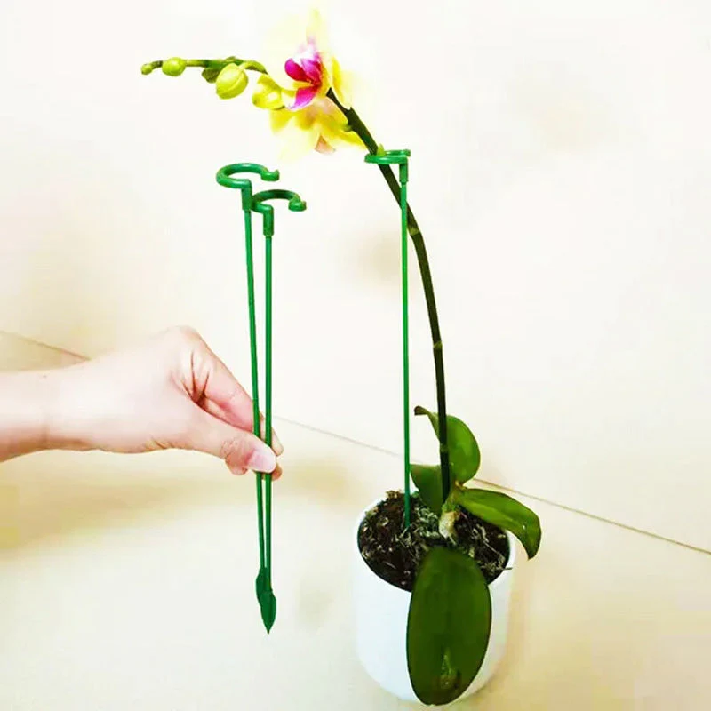 BowLift | BloomBuddy Thriving Plant Growth