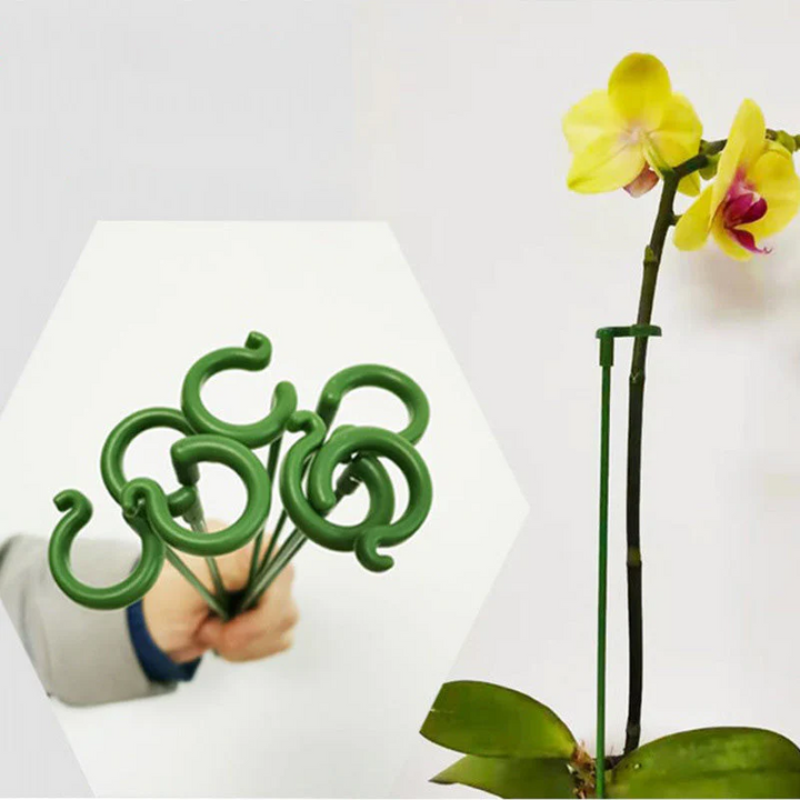 BowLift | BloomBuddy Thriving Plant Growth