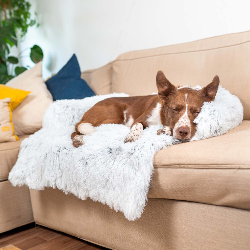 BowLift | Water Repellent Dog Bed Protection with Soft Vegan Fur – Non-slip, Comfortable, Suitable for All Dog Sizes