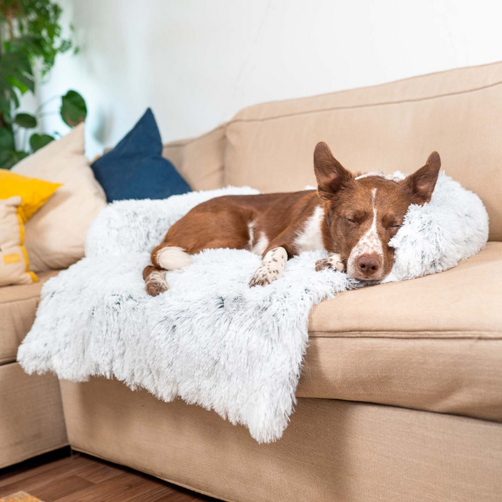 BowLift | Water Repellent Dog Bed Protection with Soft Vegan Fur – Non-slip, Comfortable, Suitable for All Dog Sizes