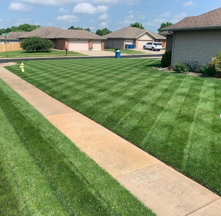 Green Grass Growth Spray | Spray your new lawn! | Bowlift