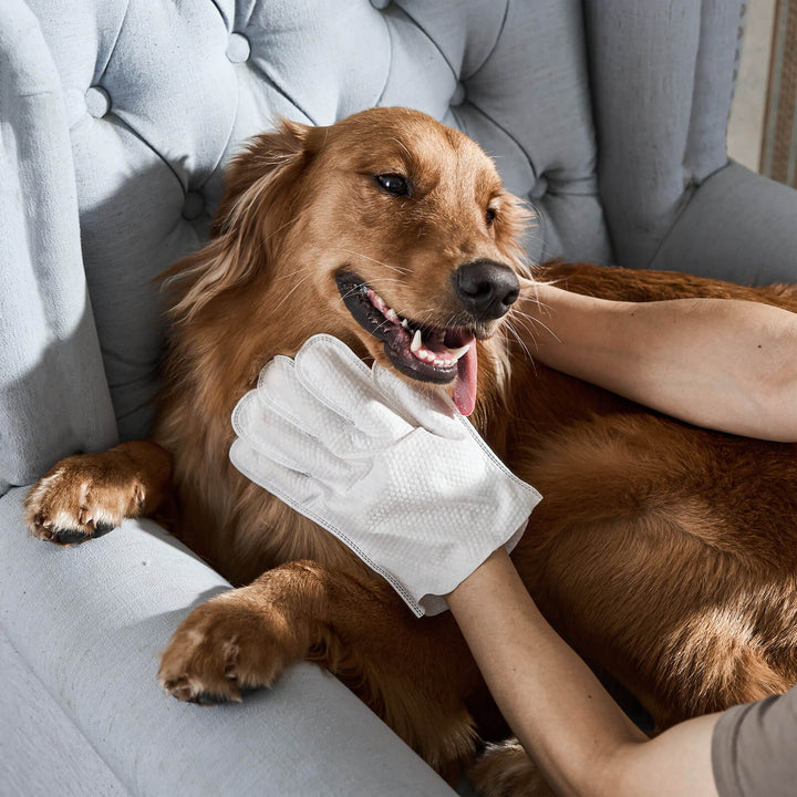 Glove cleaning wipes for pets Bowlift