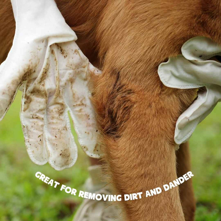 Glove cleaning wipes for pets Bowlift