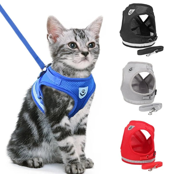 BowLift | Reflective Cat Harness and Leash Set with Adjustable Straps for Safe Night Adventures – Comfortable Fit for Cats and Kittens