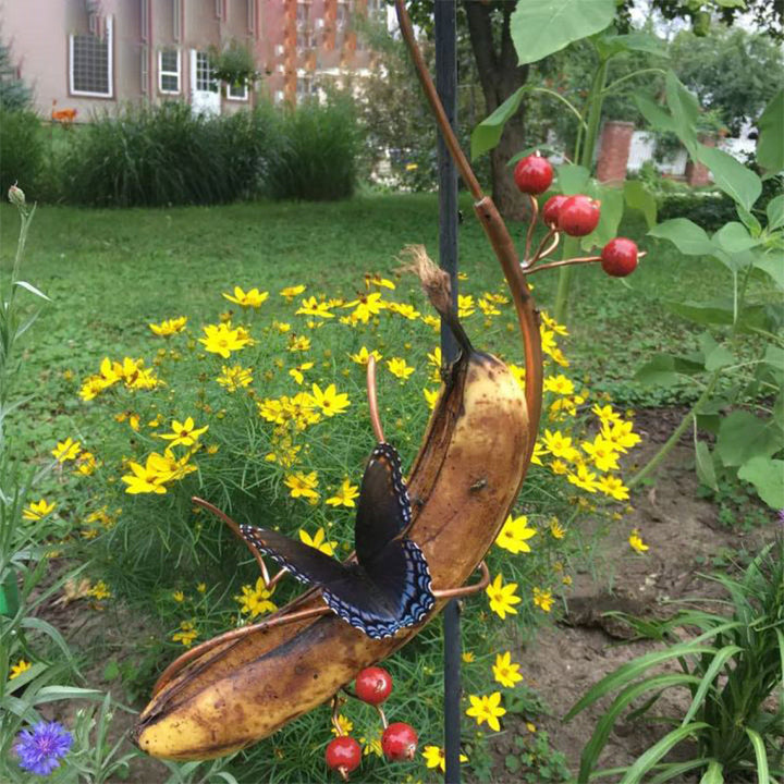 BowLift | Butterfly Banana Hammock-Butterfly Feeder