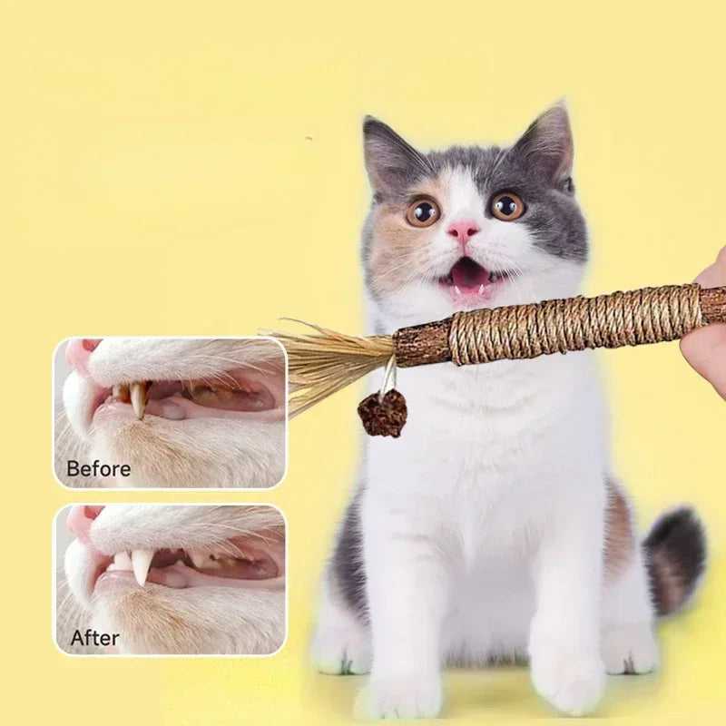 Cat Dental Cleaning Sticks Bowlift