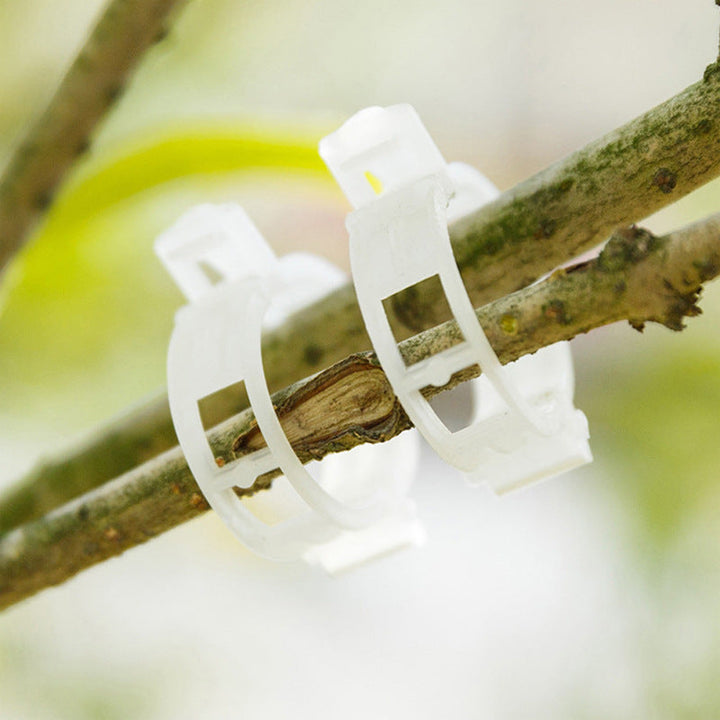 Plant support clips | Bowlift