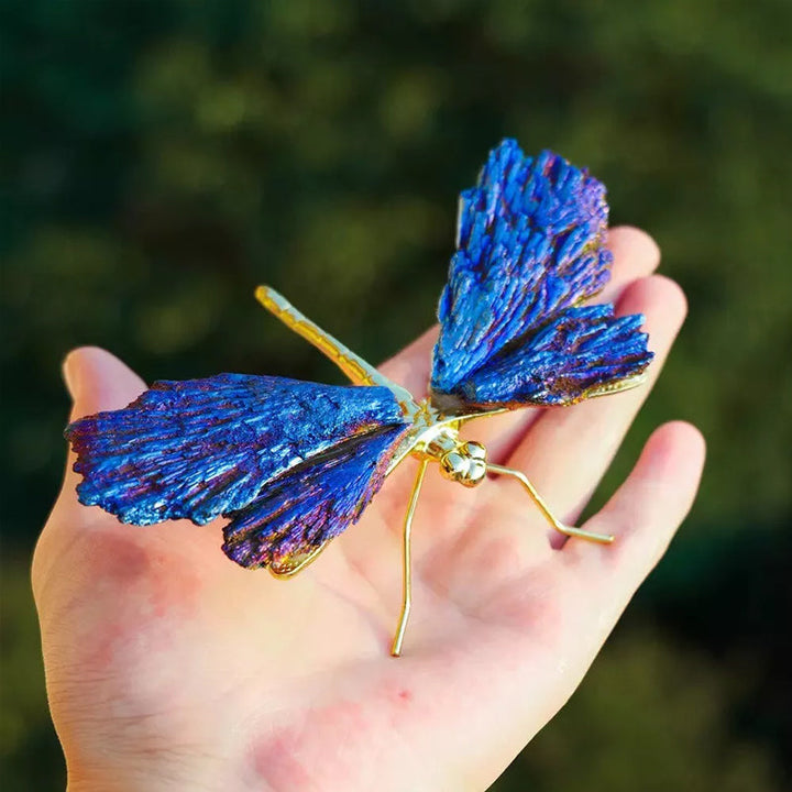 AURA TOURMALINE KYANITE DRAGONFLY | Bowlift
