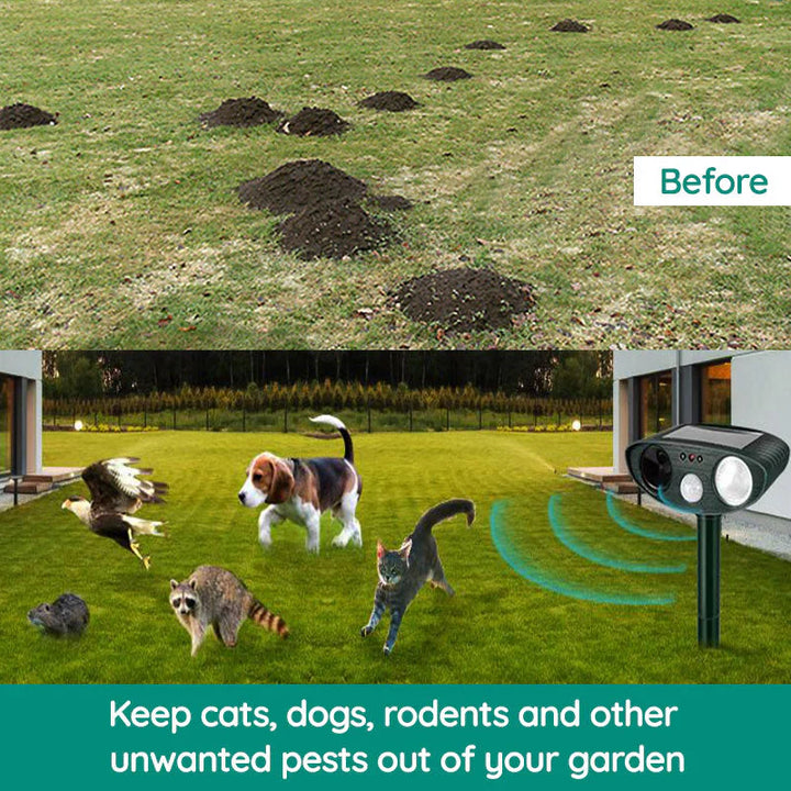 BowLift | Ultrasonic Armadillo Repellent