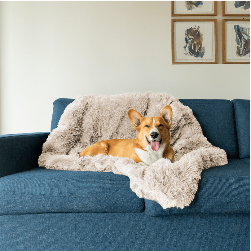 BowLift | Luxury Calming Dog Blanket – Soft, Pet-Friendly Fabric for Enhanced Sleep and Comfort, Machine Washable, Multiple Sizes Available