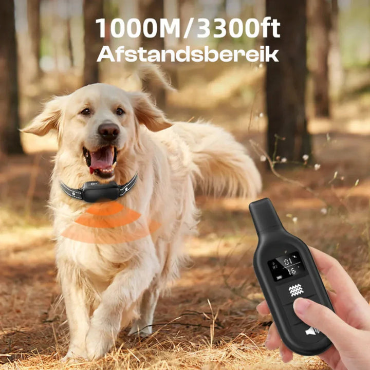 BowLift | Electric Dog Training Collar with Remote Control, Waterproof, 16 Adjustable Shock Levels, 1000m Range, Beep & Vibration Modes