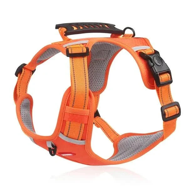 BowLift | Anti-Pull Dog Harness for Relaxed Walks