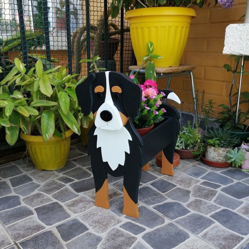 BowLift | PawPlanter Green Pet Oasis