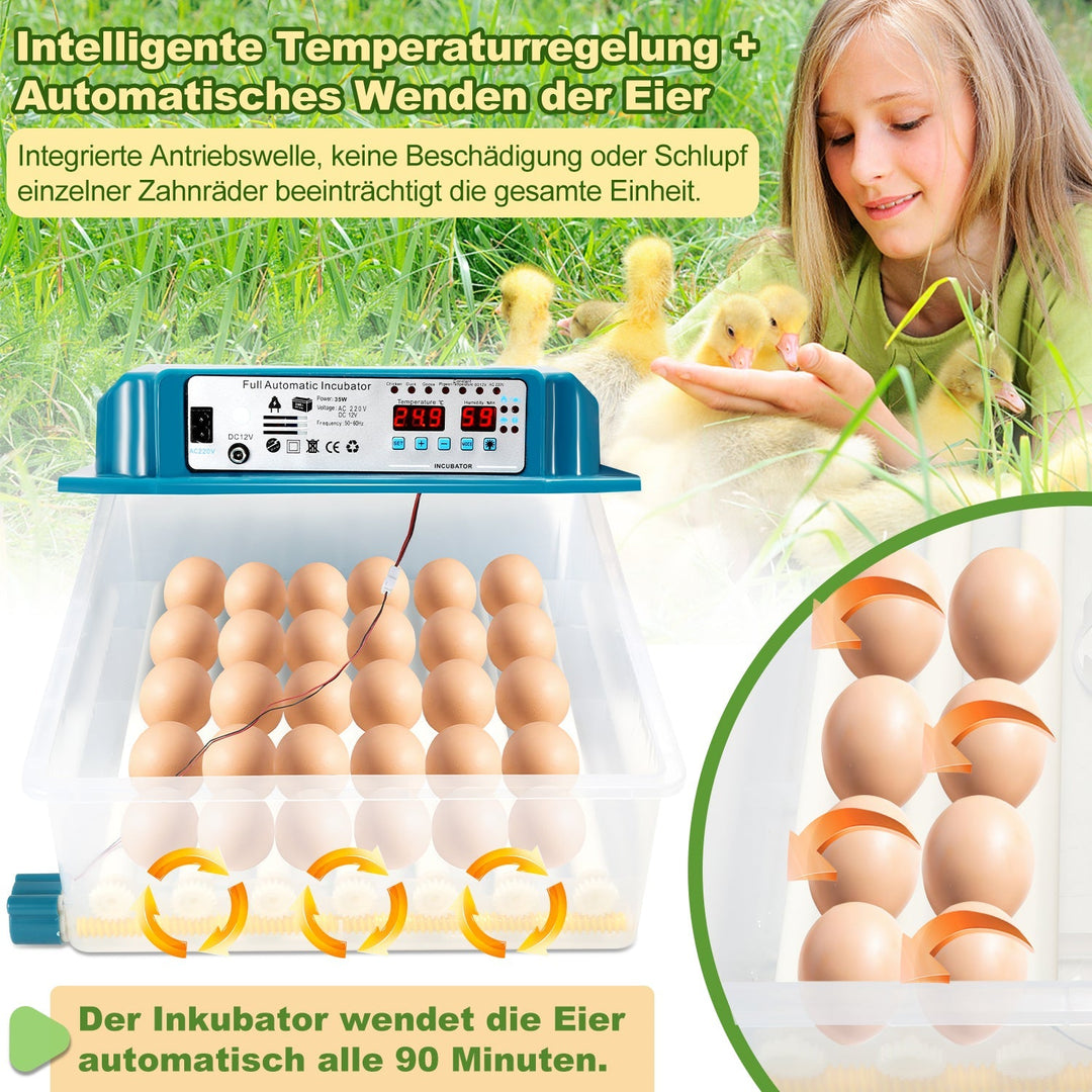 Brutautomat Fully Automatic Incubator for Chickens 36 Eggs | Bowlift