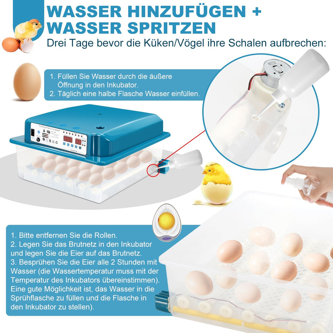 Brutautomat Fully Automatic Incubator for Chickens 36 Eggs | Bowlift