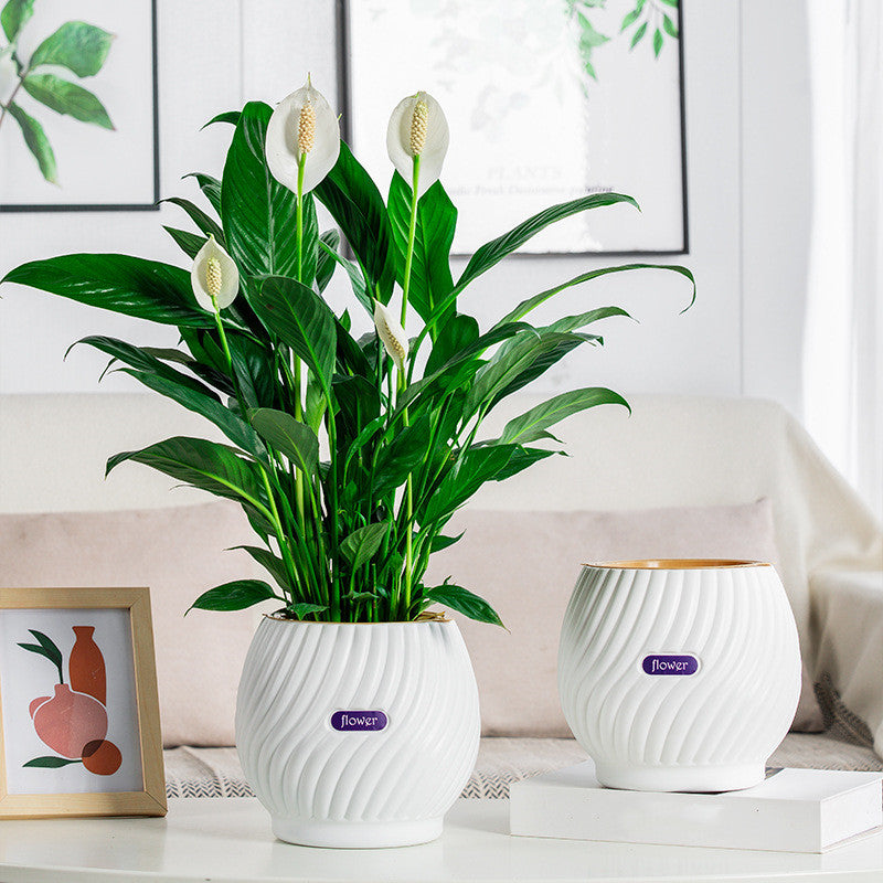 BowLift | Handmade Self-Watering Planter