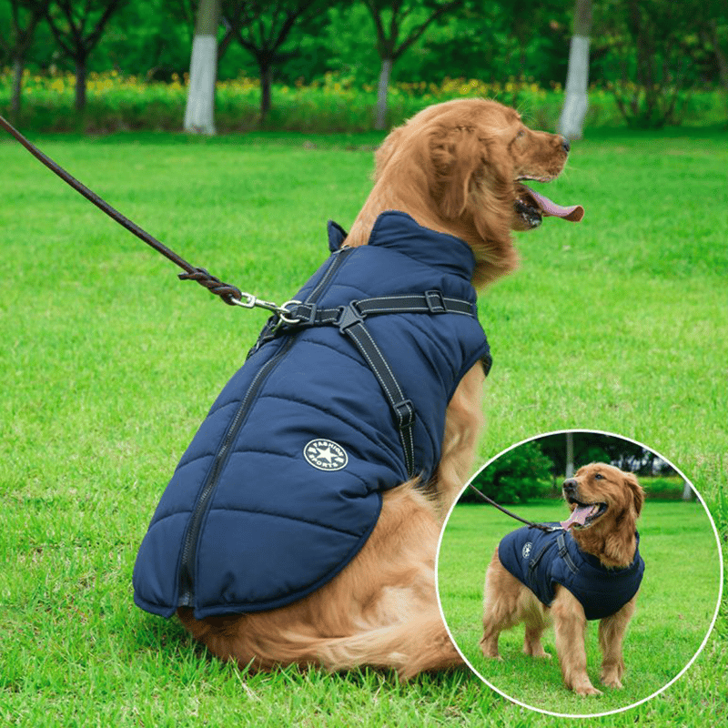BowLift | PupGuard - Winter-Dog Coat with Harness