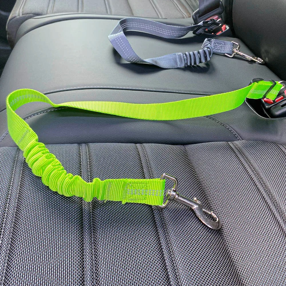 LouisSafe – Adjustable Shock Absorbing Dog Seatbelt Bowlift