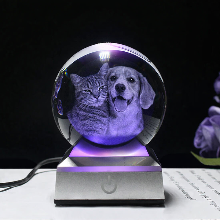 Personalized crystal ball with pet photo & LED base Bowlift