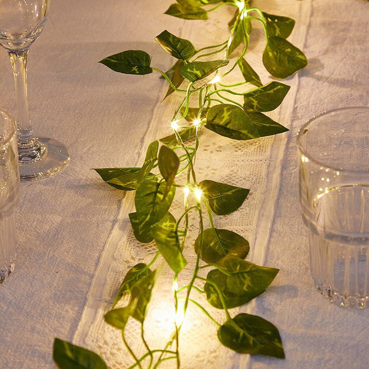 BowLift | European Style LED Vine Lights