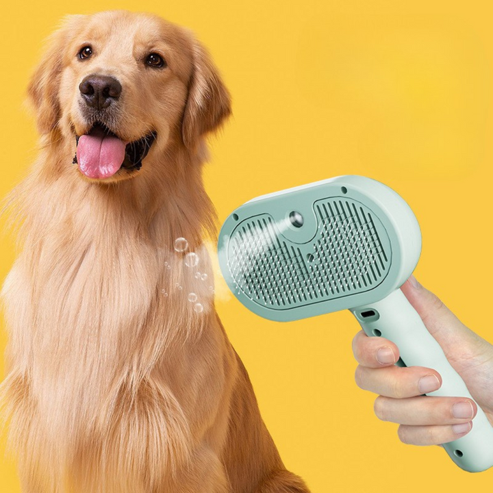 Premium pet brush with steam function Bowlift
