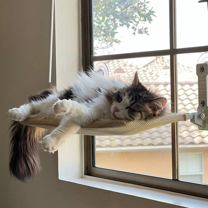 Cozy Cat Window Hammock | Bowlift