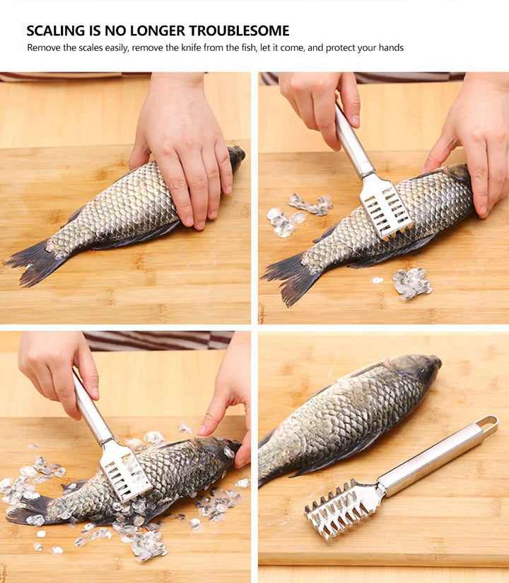 Fish Scale Remover Stainless Steel Bowlift