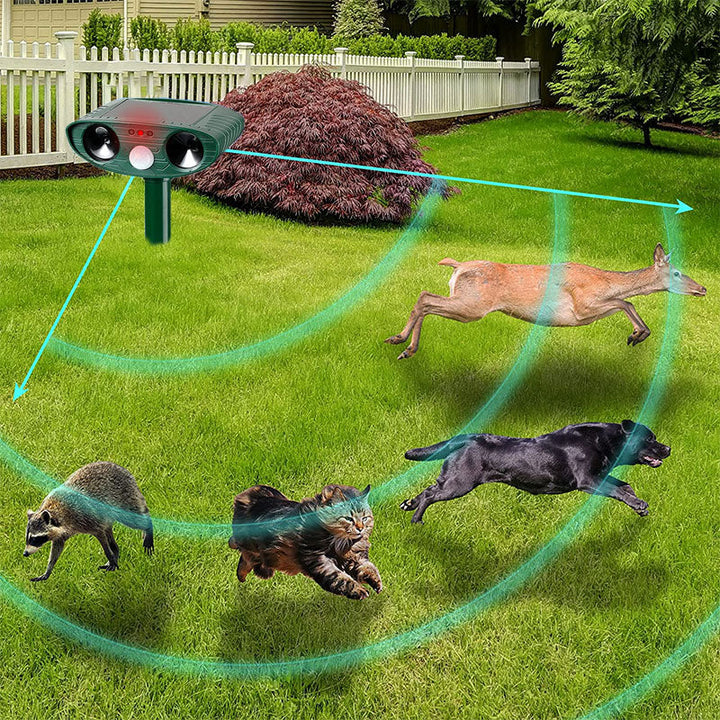 BowLift | Ultrasonic Armadillo Repellent