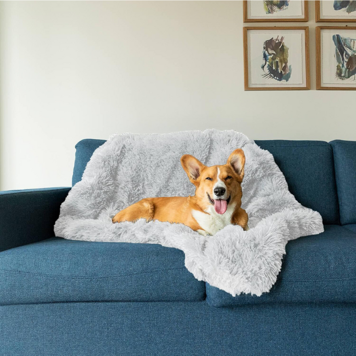 BowLift | Luxury Calming Dog Blanket – Soft, Pet-Friendly Fabric for Enhanced Sleep and Comfort, Machine Washable, Multiple Sizes Available