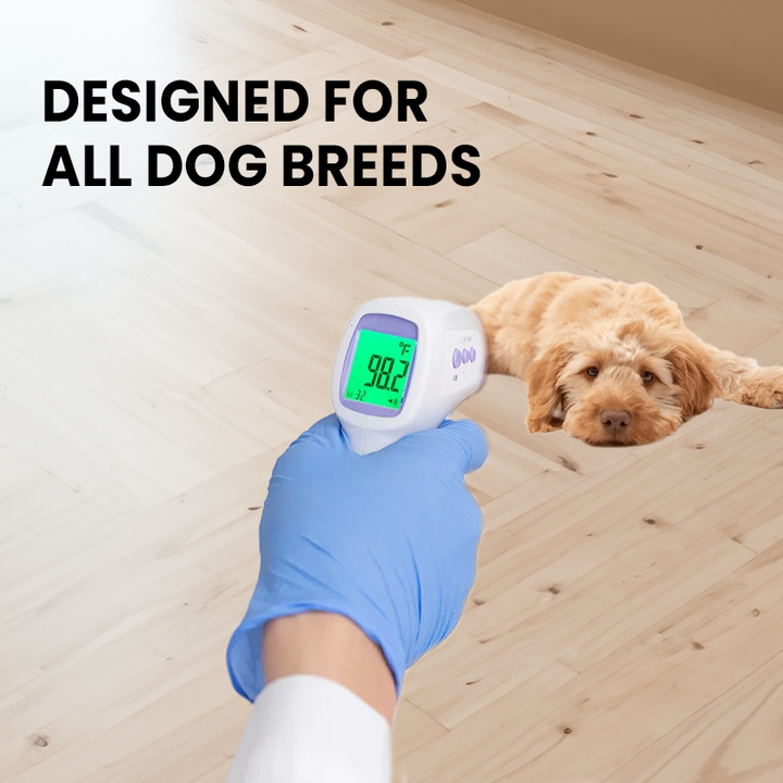 BowLift | No-Contact Dog Thermometer with One Click Reading
