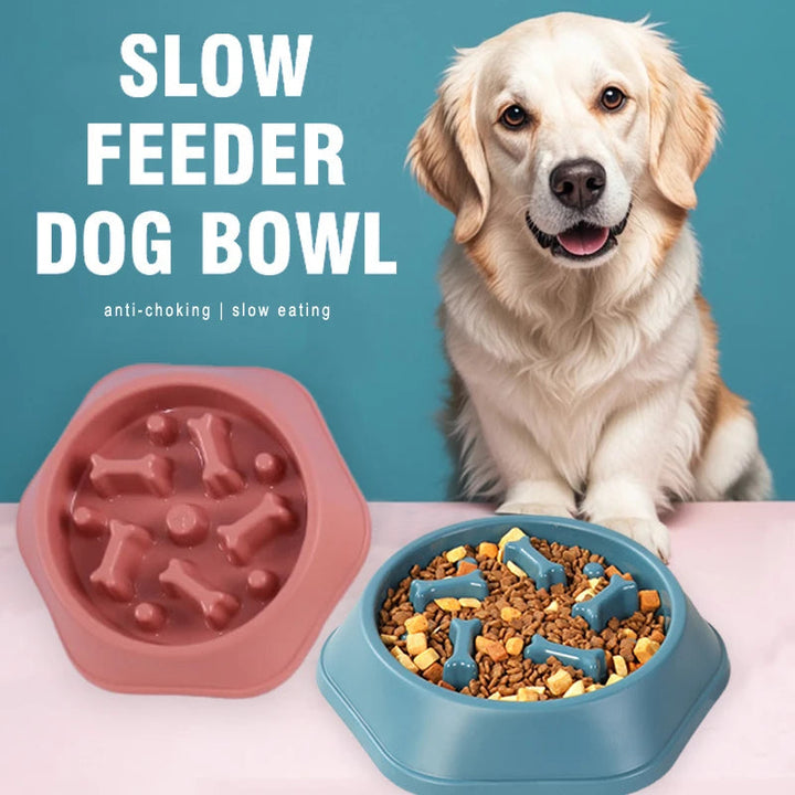 Slow Eating Feeding Station for Dogs Bowlift