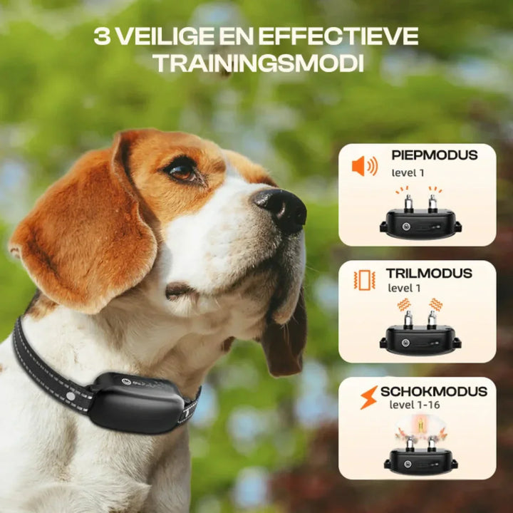 BowLift | Electric Dog Training Collar with Remote Control, Waterproof, 16 Adjustable Shock Levels, 1000m Range, Beep & Vibration Modes