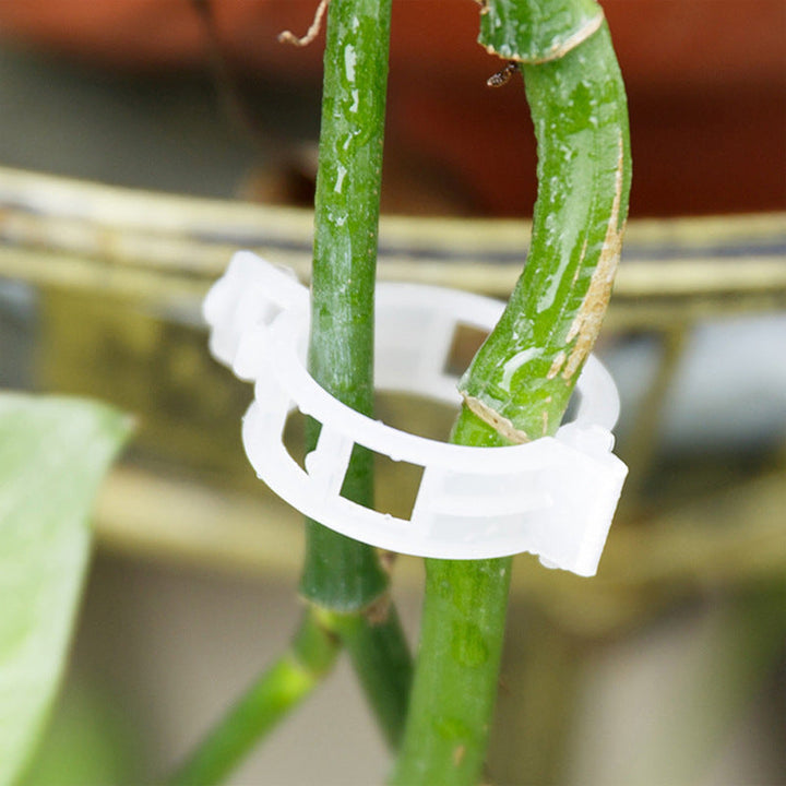 50/100/150pcs Plant Support Clips, Vine Vegetable Fastening Clips | Bowlift