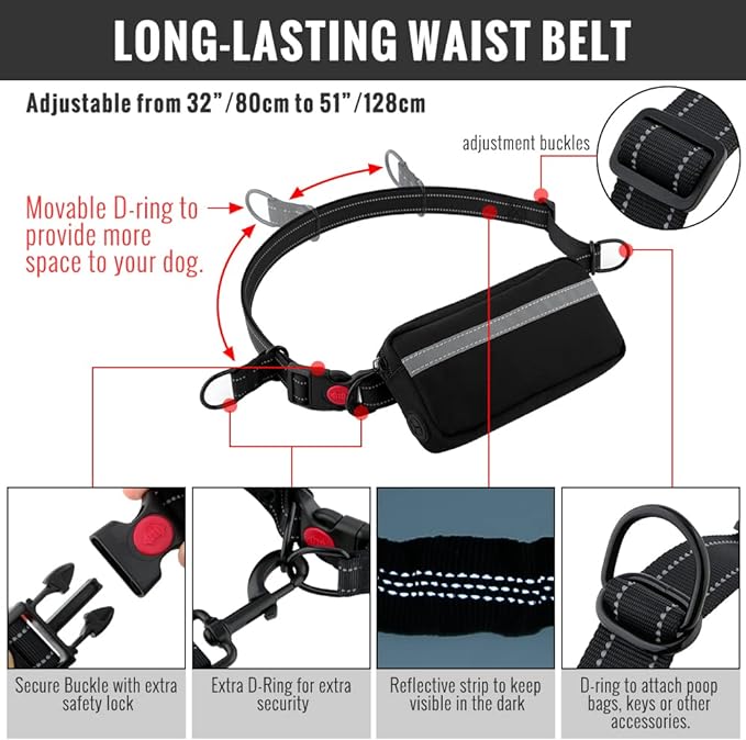FlowLeash — Experience gentle control and relaxed walks without jerks! | Bowlift