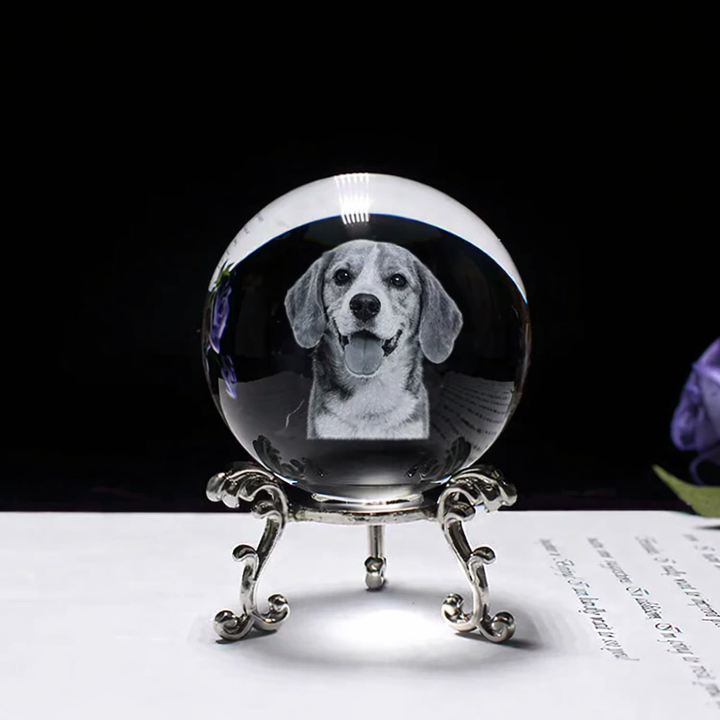 Personalized crystal ball with pet photo & LED base Bowlift
