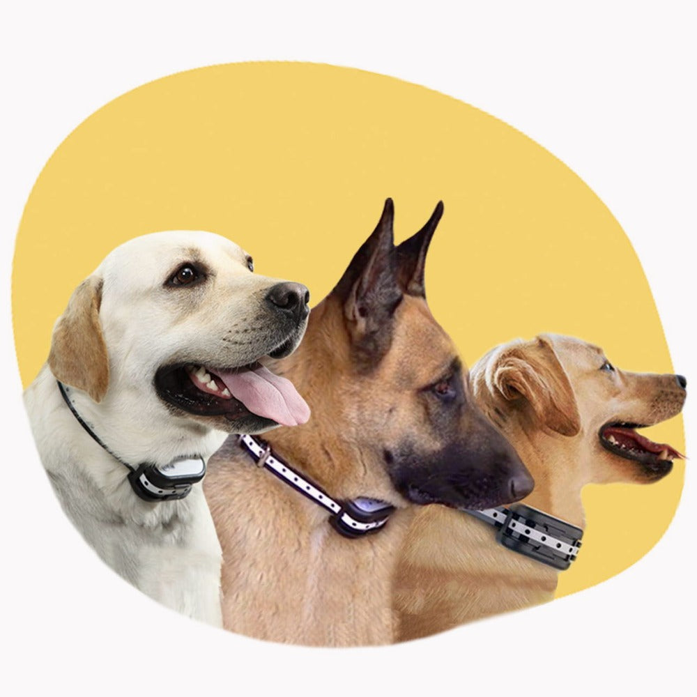 BowLift | SafeZone - Wireless Dog Fence & Training Collar | Animal-Friendly Correction Methods | Rechargeable & Waterproof