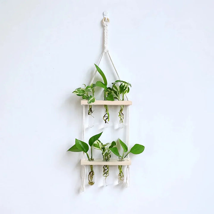 BowLift | Elegant Wooden Hydroponic Wall Vase