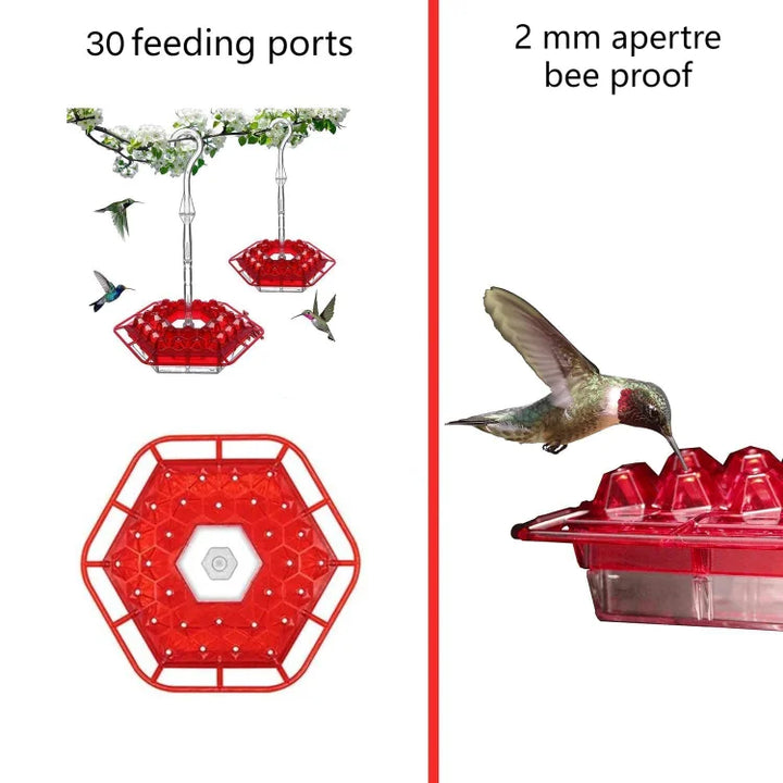 BowLift | BirdBliss™ Bird-Friendly Paradise