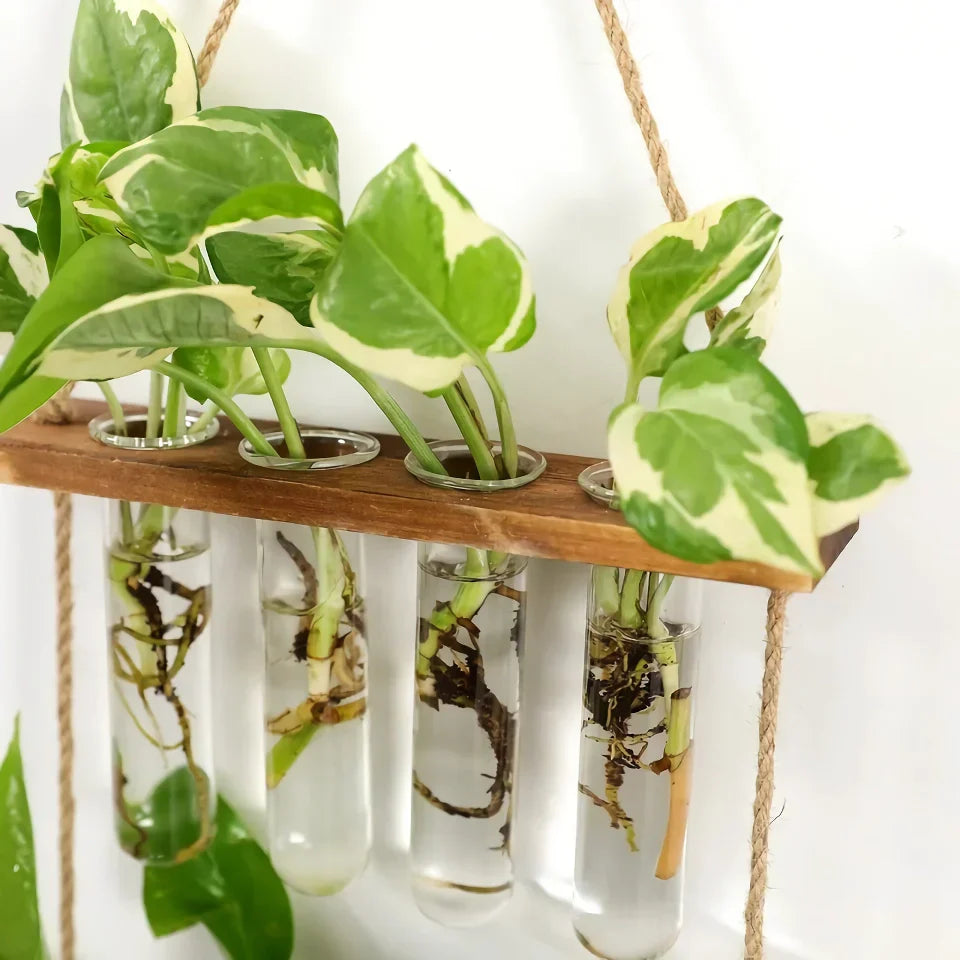 BowLift | Elegant Wooden Hydroponic Wall Vase