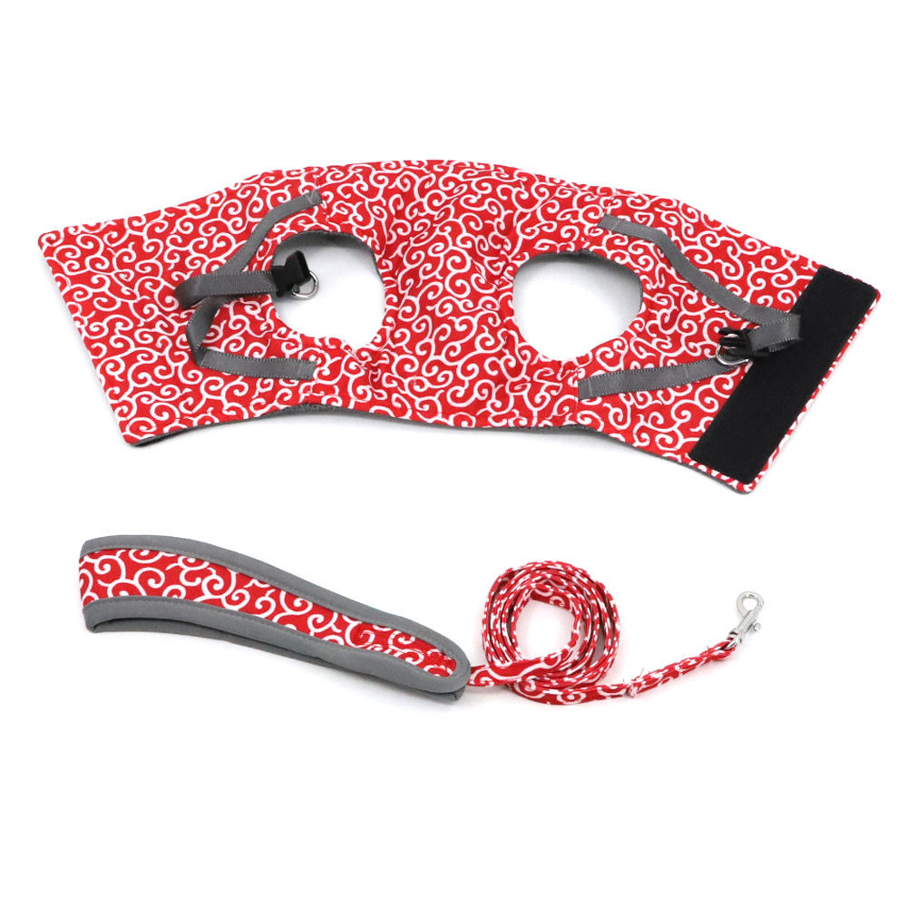 BowLift | Stylish Cat Harness with Matching Leash - Comfortable and Easy to Wear, Adjustable Fit for Cats and Kittens