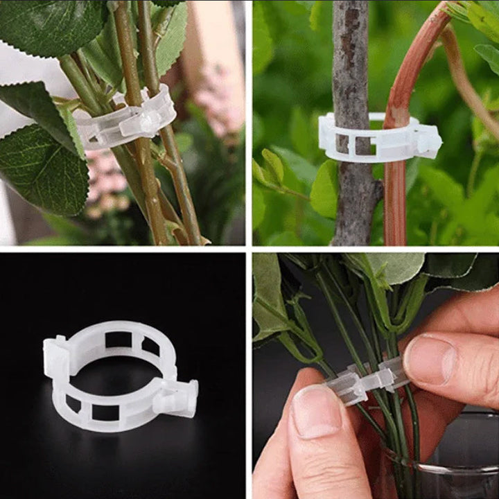 50/100/150pcs Plant Support Clips, Vine Vegetable Fastening Clips | Bowlift