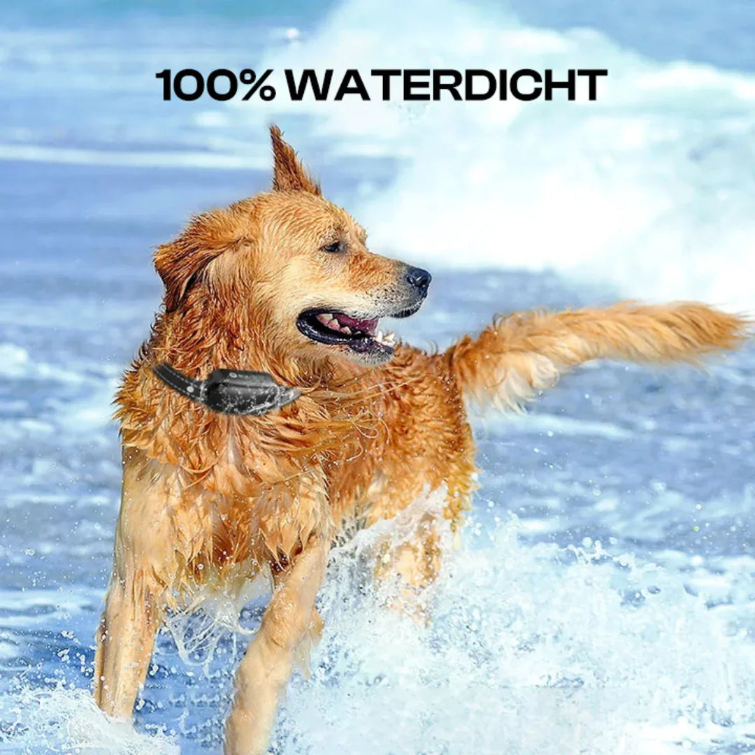 BowLift | Electric Dog Training Collar with Remote Control, Waterproof, 16 Adjustable Shock Levels, 1000m Range, Beep & Vibration Modes