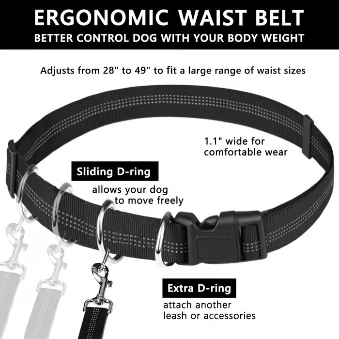FlowLeash — Experience gentle control and relaxed walks without jerks! | Bowlift