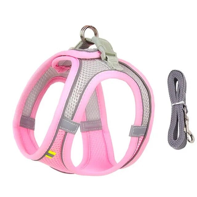 Bowlift Venture Dish & Leash