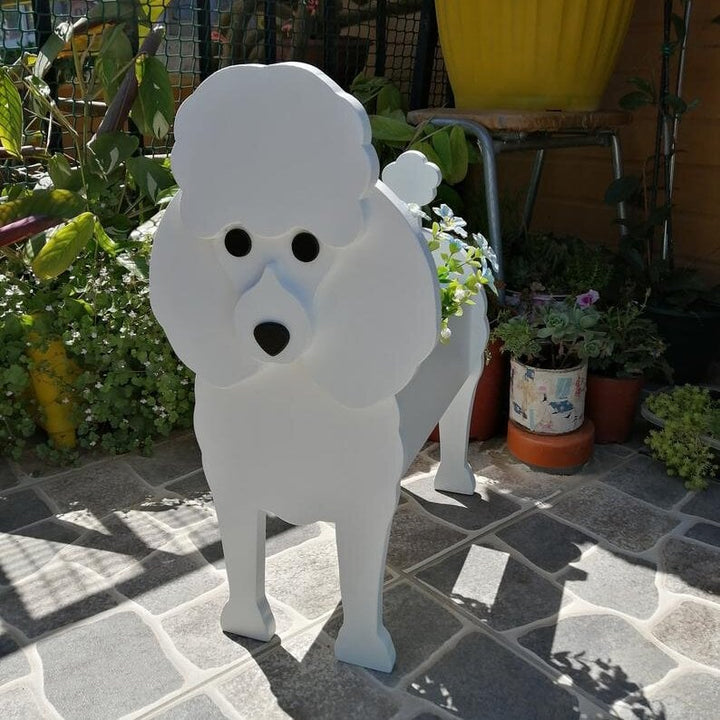 BowLift | PawPlanter Green Pet Oasis