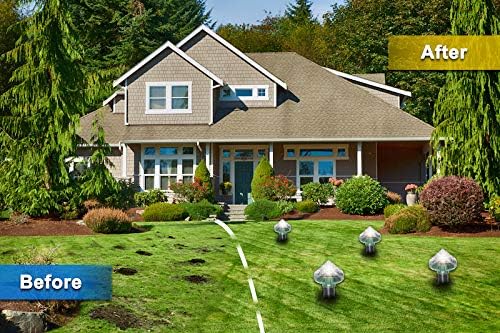 BowLift | Solar-powered animal repeller for garden and yard – Environmentally friendly protection against mice and rodents