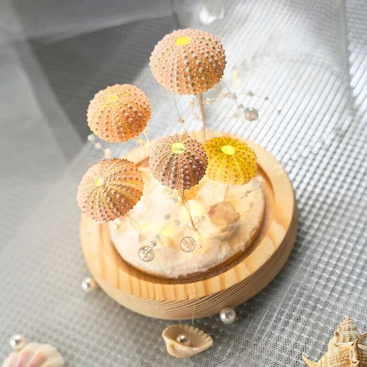 BowLift | LumiCraft – Unique DIY table lamp with natural sea shell for a cozy décor