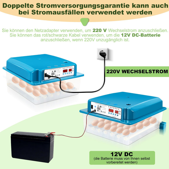 Brutautomat Fully Automatic Incubator for Chickens 36 Eggs | Bowlift